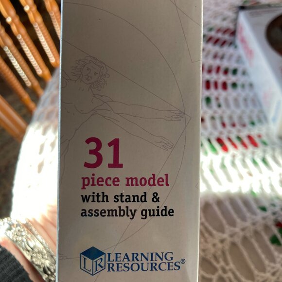 Amazon.com: Learning Resources Human Heart Model, Anatomy  Learning Resources Human Anatomy Model Heart Brain New in Package